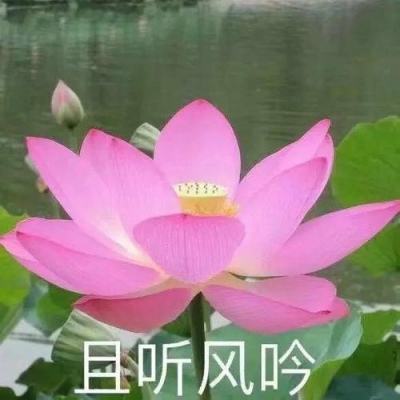 刀剑物语手游下载